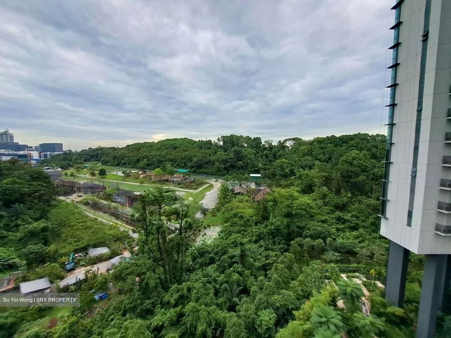 Normanton Park (D5), Apartment #604501411